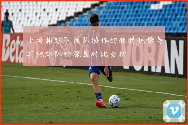 上海排球队团队协作的独特优势与其他球队的深度对比分析
