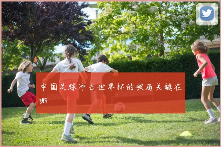 中国足球冲击世界杯的破局关键在哪