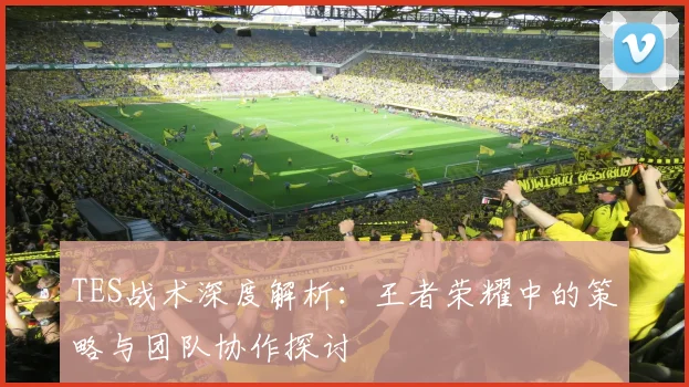 TES战术深度解析：王者荣耀中的策略与团队协作探讨