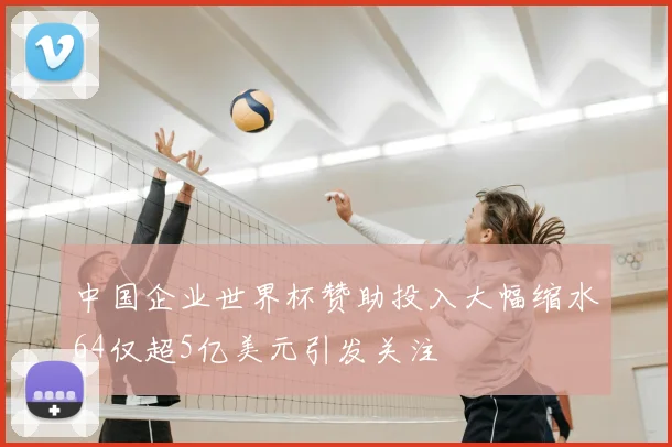 中国企业世界杯赞助投入大幅缩水64仅超5亿美元引发关注