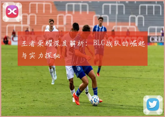 王者荣耀深度解析：BLG战队的崛起与实力探秘