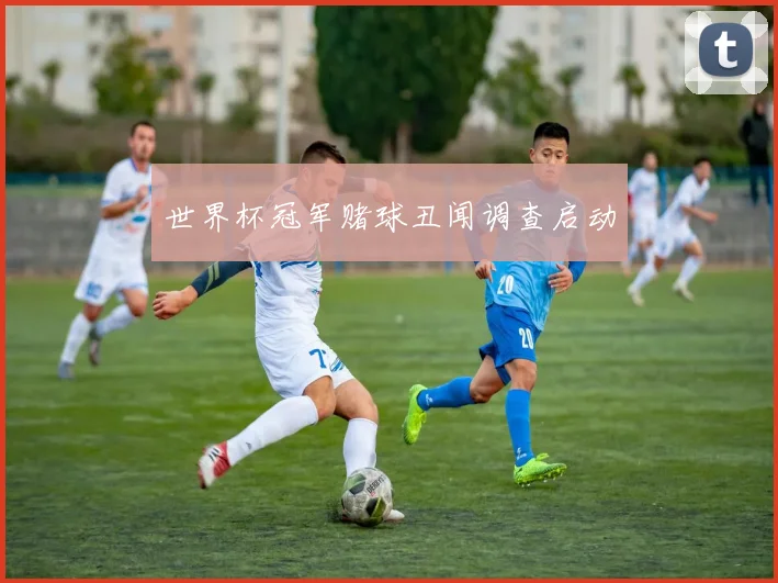 世界杯冠军赌球丑闻调查启动