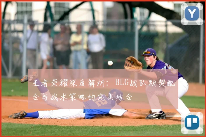 王者荣耀深度解析：BLG战队默契配合与战术策略的完美结合