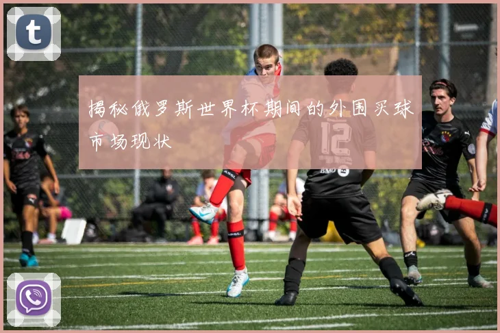 揭秘俄罗斯世界杯期间的外围买球市场现状