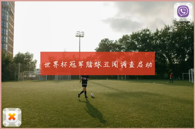 世界杯冠军赌球丑闻调查启动