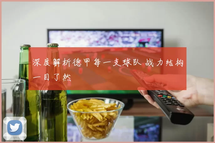 深度解析德甲每一支球队 战力结构一目了然