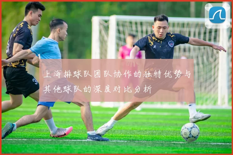 上海排球队团队协作的独特优势与其他球队的深度对比分析