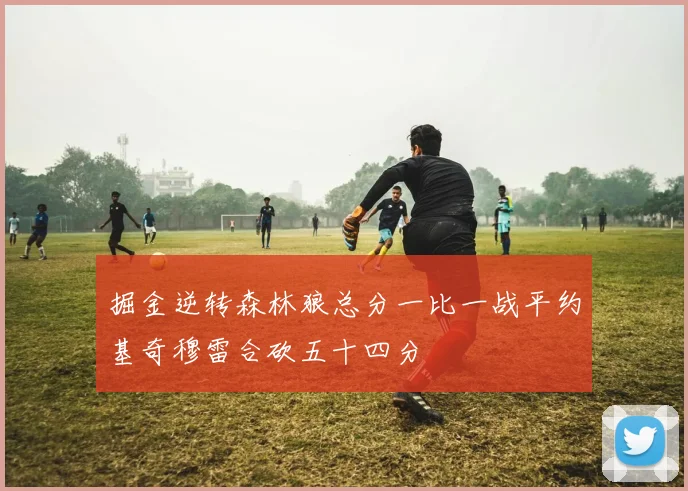 掘金逆转森林狼总分一比一战平约基奇穆雷合砍五十四分
