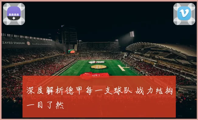 深度解析德甲每一支球队 战力结构一目了然