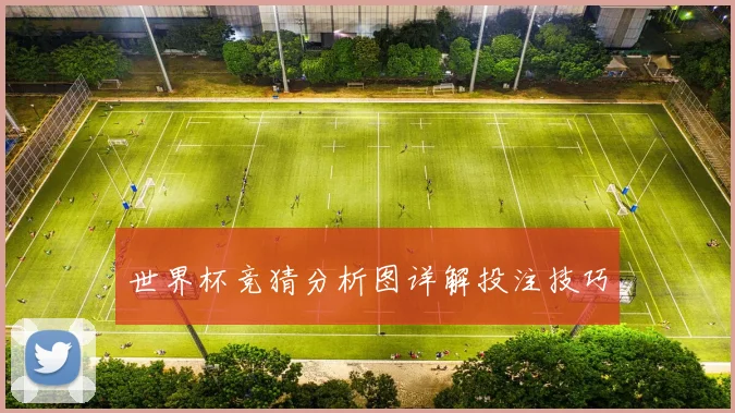 世界杯竞猜分析图详解投注技巧