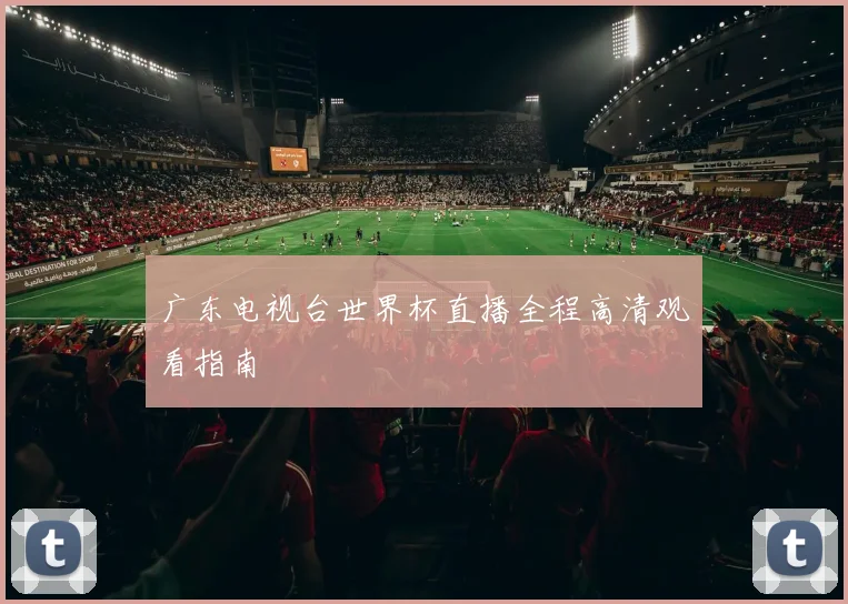 广东电视台世界杯直播全程高清观看指南