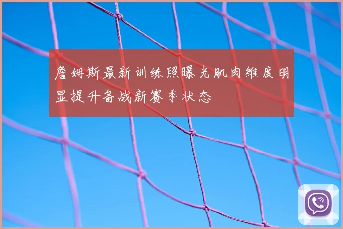 詹姆斯最新训练照曝光肌肉维度明显提升备战新赛季状态