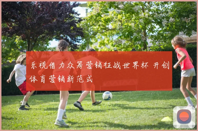 乐视借力众筹营销征战世界杯 开创体育营销新范式