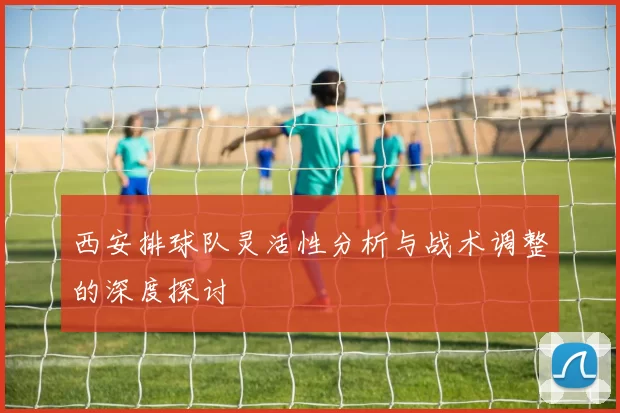 西安排球队灵活性分析与战术调整的深度探讨