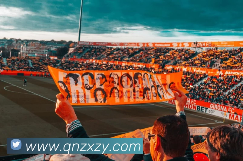 开云体育APP 封面图